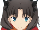 rin-tohsaka-fatestay-fate-stay-night-master-jeu-manga-anime-ln-waifu-femme-brune