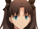 rin-tohsaka-fatestay-fate-stay-night-master-jeu-manga-anime-ln-waifu-femme-brune