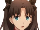 rin-tohsaka-fatestay-fate-stay-night-master-jeu-manga-anime-ln-waifu-femme-brune