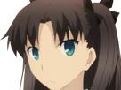 rin-tohsaka-fatestay-fate-stay-night-master-jeu-manga-anime-ln-waifu-femme-brune