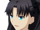 rin-tohsaka-fatestay-fate-stay-night-master-jeu-manga-anime-ln-waifu-femme-brune