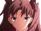 rin-tohsaka-fatestay-fate-stay-night-master-jeu-manga-anime-ln-waifu-femme-brune