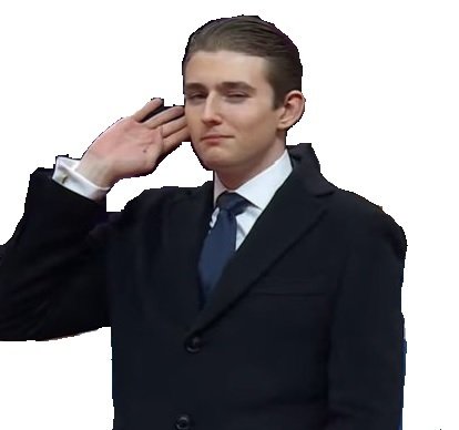 barron trump