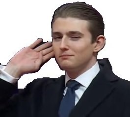 barron trump