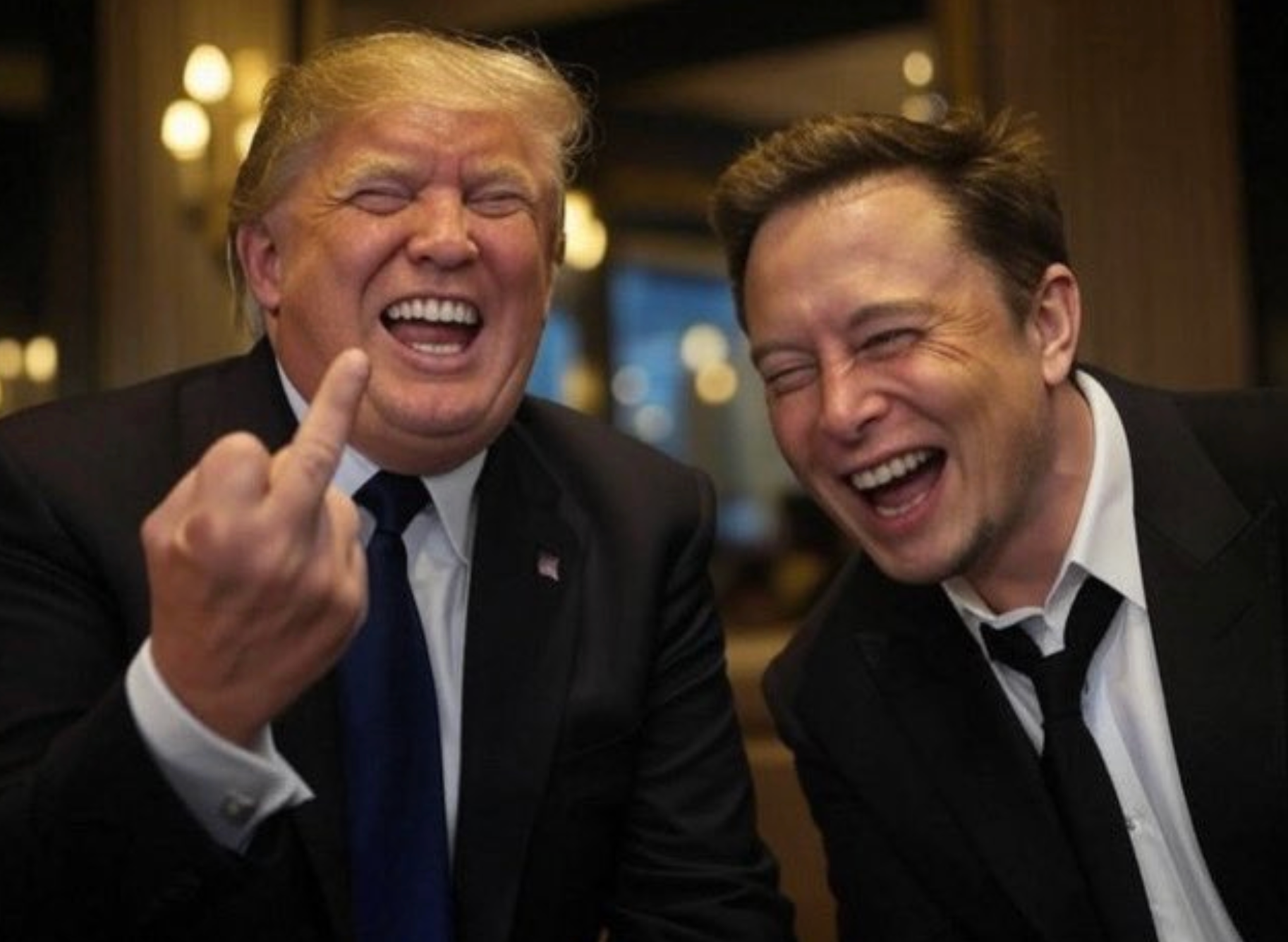 trump musk larmes gaucho