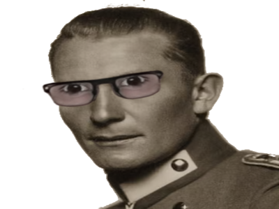 hermann goring goering allemand nazi nsdap luftwaffe lunettes