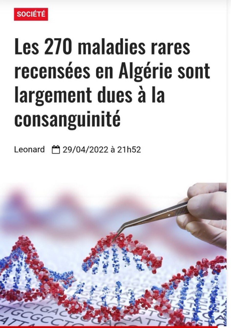 algerie consanguin maghreb arabe qlf maladie rare low qi