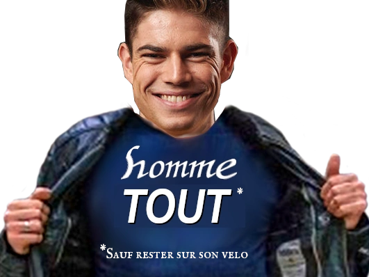 wout van aert jumbo humme tout sauf rester sur son velo chute