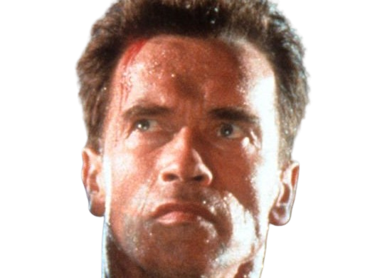 arnold alois schwarzenegger schwarzy culturiste acteur realisateur producteur cinema homme politique autrichien americain 80s 90s