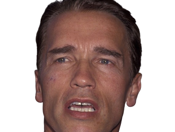 arnold alois schwarzenegger schwarzy culturiste acteur realisateur producteur cinema homme politique autrichien americain 80s 90s