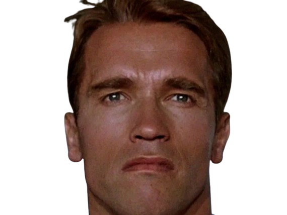 arnold alois schwarzenegger schwarzy culturiste acteur realisateur producteur cinema homme politique autrichien americain 80s 90s