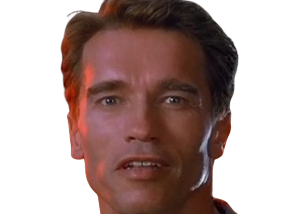 arnold alois schwarzenegger schwarzy culturiste acteur realisateur producteur cinema homme politique autrichien americain 80s 90s