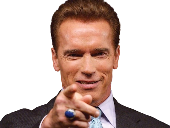 arnold alois schwarzenegger schwarzy culturiste acteur realisateur producteur cinema homme politique autrichien americain 80s 90s