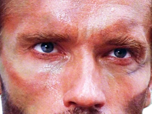 arnold alois schwarzenegger schwarzy culturiste acteur realisateur producteur cinema homme politique autrichien americain 80s 90s