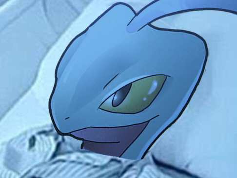 massko masskodeter op auteur mort lit malade bleu brouteur africain argent arnaque selection naturelle montage