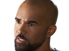 shemar-moore-acteur-americain-series-us-esprits-criminels-swat-abdos-betons