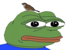 pepe-grenouille-moineau-oiseau-perche