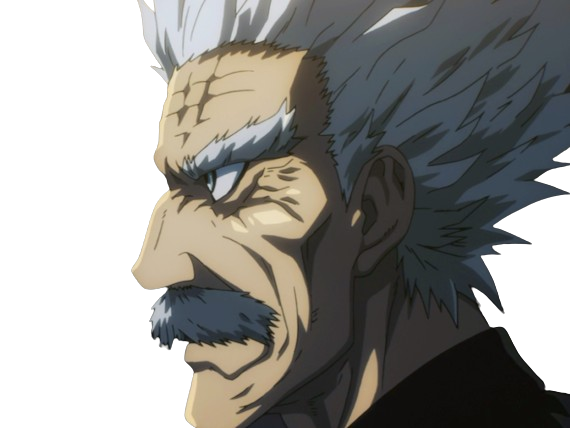 silver fang bang heros one punch man opm vieux anime manga art martiaux maitre badass