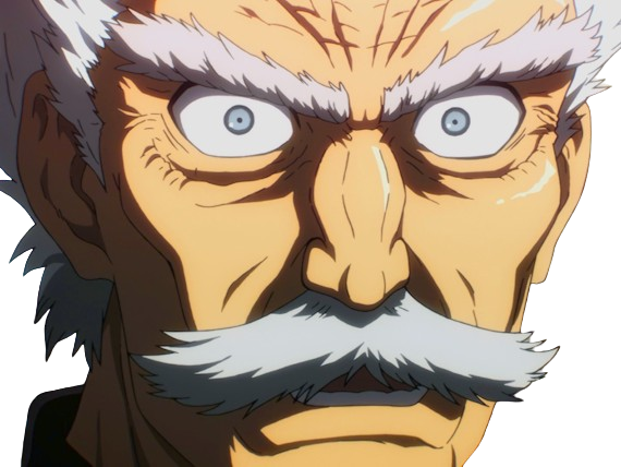 silver fang bang heros one punch man opm vieux anime manga art martiaux maitre badass