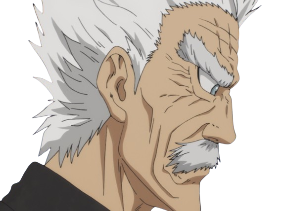 silver fang bang heros one punch man opm vieux anime manga art martiaux maitre badass