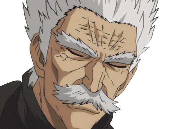 silver fang bang heros one punch man opm vieux anime manga art martiaux maitre badass