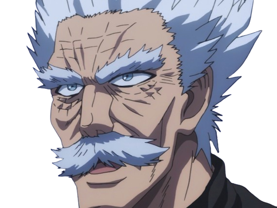 silver fang bang heros one punch man opm vieux anime manga art martiaux maitre badass