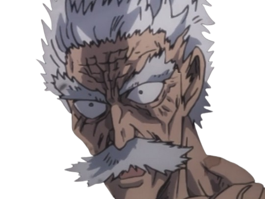 silver fang bang heros one punch man opm vieux anime manga art martiaux maitre badass