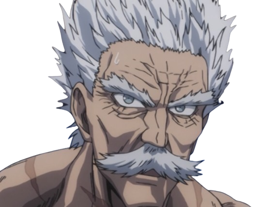 silver fang bang heros one punch man opm vieux anime manga art martiaux maitre badass