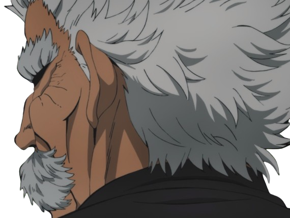 silver fang bang heros one punch man opm vieux anime manga art martiaux maitre badass