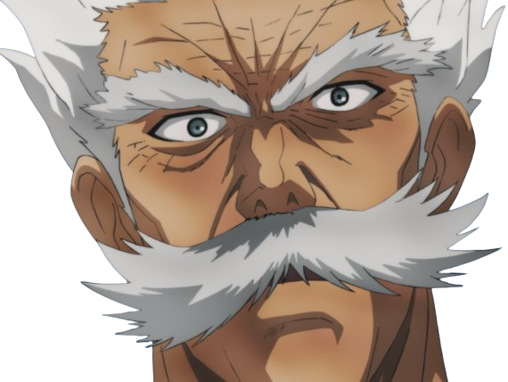 silver fang bang heros one punch man opm vieux anime manga art martiaux maitre badass