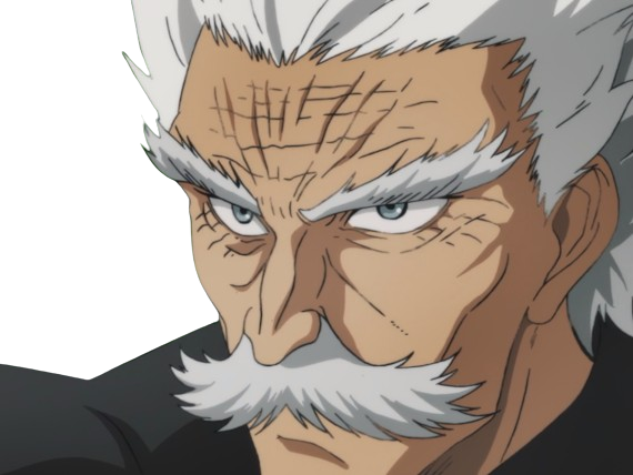 silver fang bang heros one punch man opm vieux anime manga art martiaux maitre badass