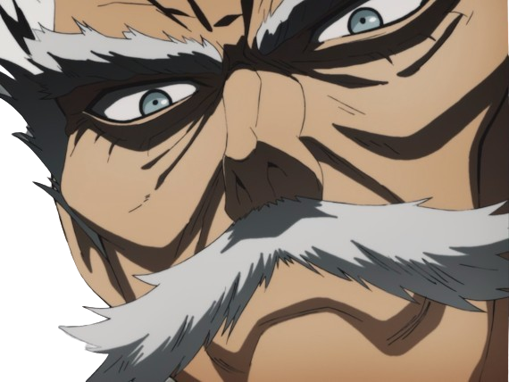 silver fang bang heros one punch man opm vieux anime manga art martiaux maitre badass