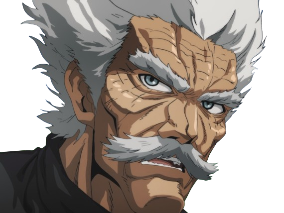 silver fang bang heros one punch man opm vieux anime manga art martiaux maitre badass