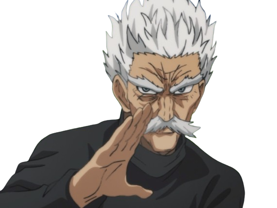 silver fang bang heros one punch man opm vieux anime manga art martiaux maitre badass