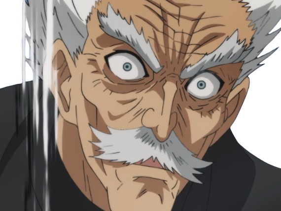 silver fang bang heros one punch man opm vieux anime manga art martiaux maitre badass