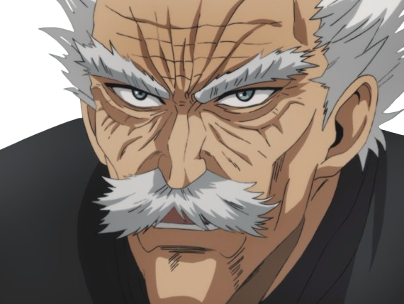 silver fang bang heros one punch man opm vieux anime manga art martiaux maitre badass