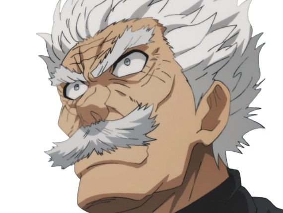 silver fang bang heros one punch man opm vieux anime manga art martiaux maitre badass