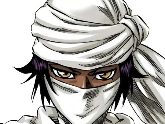 yoruichi shihoin ame shinigami deuxieme division gotei 13 espionne bleach anime manga femme waifu