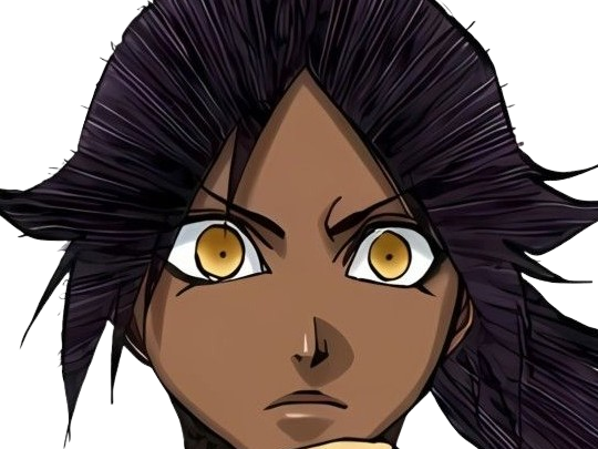 yoruichi shihoin ame shinigami deuxieme division gotei 13 espionne bleach anime manga femme waifu