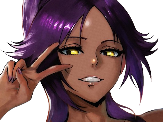 yoruichi shihoin ame shinigami deuxieme division gotei 13 espionne bleach anime manga femme waifu