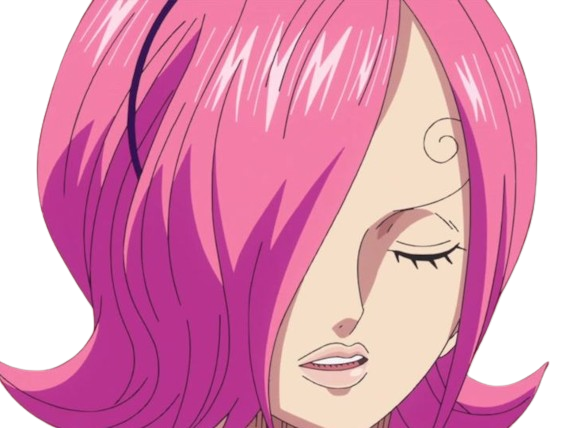 vinsmoke reiju poison pink princesse commandante germa 66 one piece op anime manga waifu rose