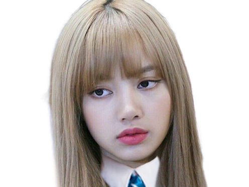 anais fic poudlard serdaigle eleve lisa blackpink arseneur ame soeur celestin heraut prof particuliere