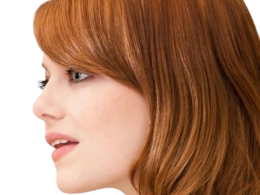 Sticker emma emily jean stone actrice productrice americaine annees 2010 rousse yeux verts femme oscarisee par PubliusOvidius