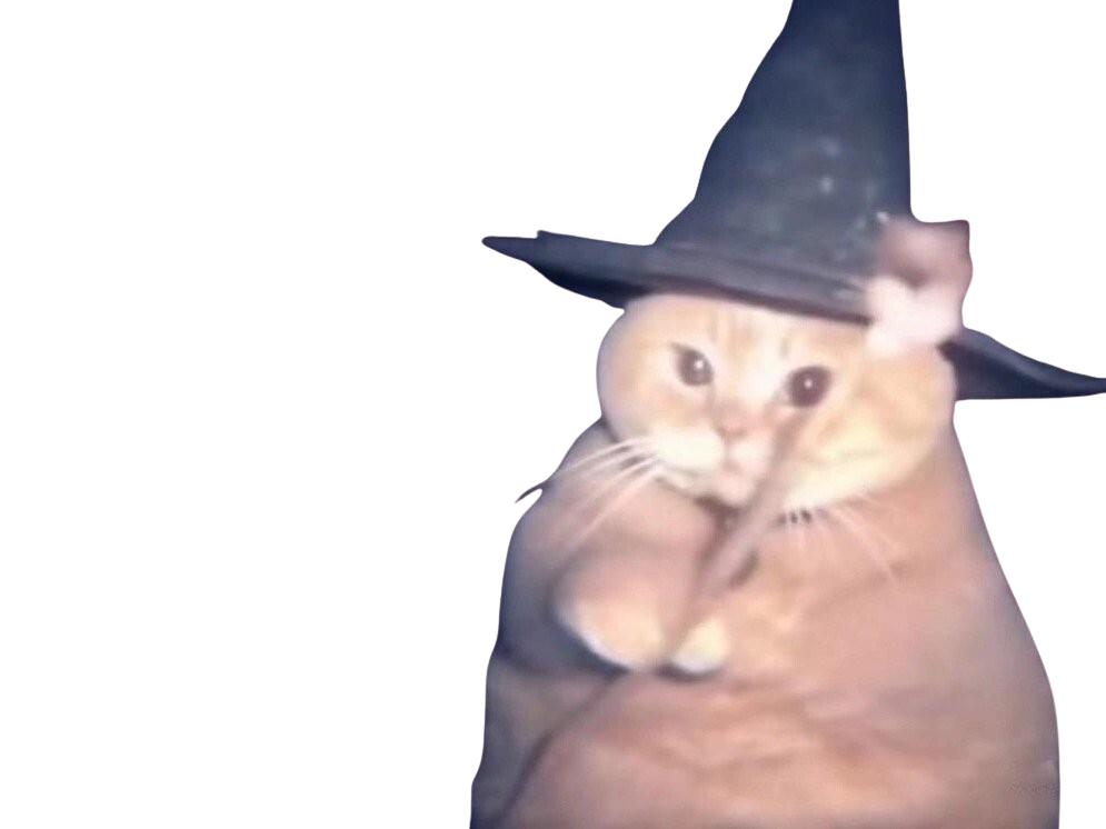 chat sorcier magicien revenant farces baguette magique chapeau halloween rose