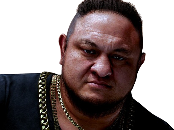 like a dragon pirate yakuza raymond law roi king madlantis baleine