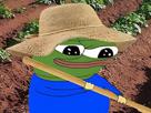 pepe-frog-apu-apustaja-potager-legume-cultivateur-paysan-jardinier-agriculture-permaculture-fruit-maraichage