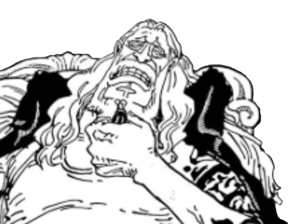 one piece chevalier divin saint shepherd sommers