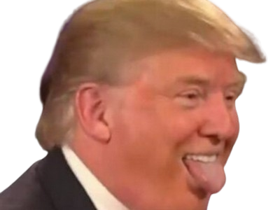 donald trump president usa