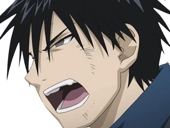 roy mustang full metal alchemist fma anime manga homme militaire colonel flame amestris alchimiste feu