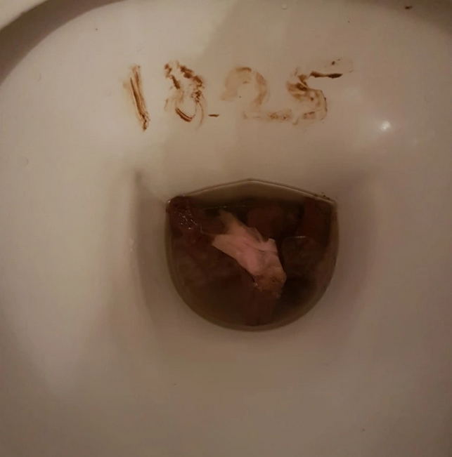 dedi cigarette tarax 1825 caca scato